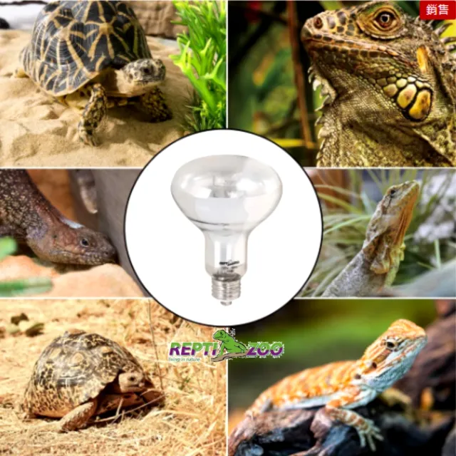 【REPTI ZOO】全光譜太陽燈 爬蟲加熱燈UVA UVB 100W取暖燈POWERSUN燈泡(REPTIZOO/適用陸龜.爬蟲類)