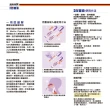 【德國百靈油】100ML*2+滾珠空瓶*1共200ML(100%胡椒薄荷/按摩精油/年節送禮/伴手禮)