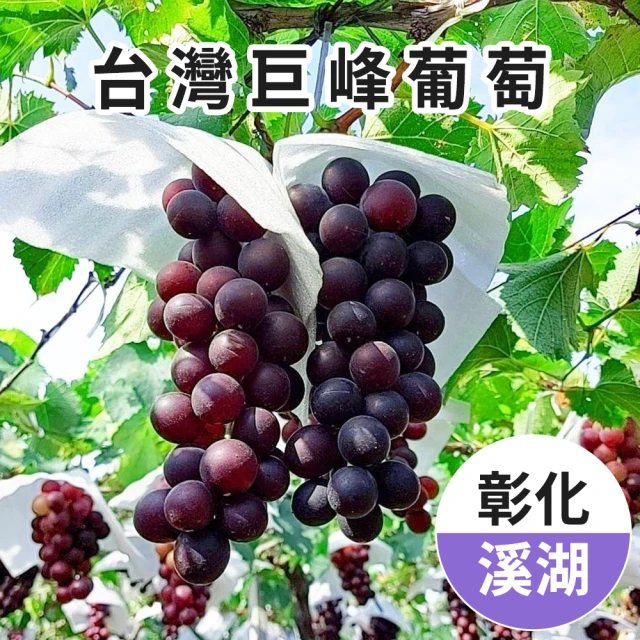 雪莉朵辣 嘉義太保玉女番茄4.5斤/箱x1箱 推薦