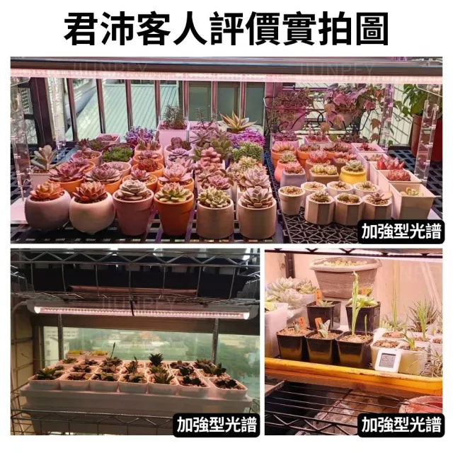 【JIUNPEY 君沛】2入組 T8  2呎12.5W加強型光譜植物燈管(植物生長燈)