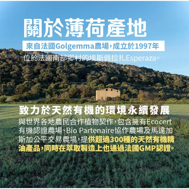 【古寶無患子】法國歐薄荷花水250ml(化妝水/保濕/舒緩/控油/微涼/臉部保養/濕敷)