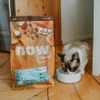 【Now!】鮮肉/鮮魚配方3磅 貓咪無穀天然糧(貓糧 貓飼料 幼貓 成貓 老貓 熟齡貓)