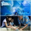 【花蓮遠雄海洋公園】暑假夜宿水族館★適用7歲以上含早、晚餐(玩翻遊樂園、專人導覽)