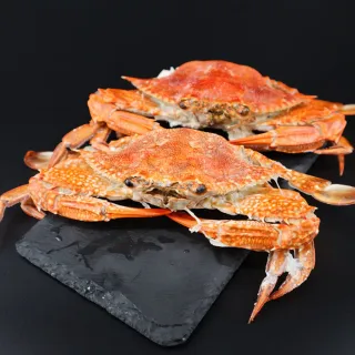 【三頓飯】活凍藍蟹(12隻/100-150g/隻)