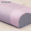 【TENDAYS】玩色柔眠記憶枕 2入組(薰衣紫 8cm/10cm 任選)