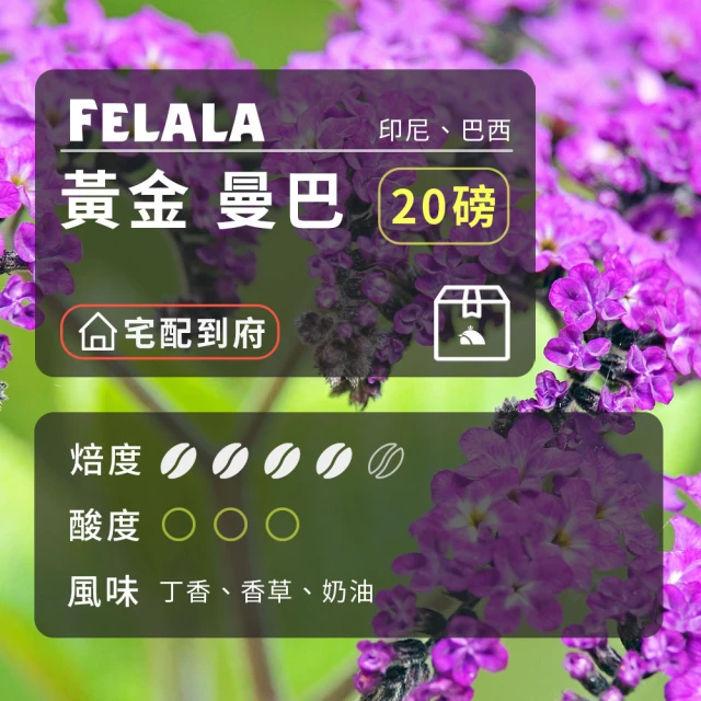 Felala 費拉拉 中深烘焙 黃金 曼巴 咖啡豆 20磅箱購(結合曼特寧與巴西兩種高級的阿拉比卡)