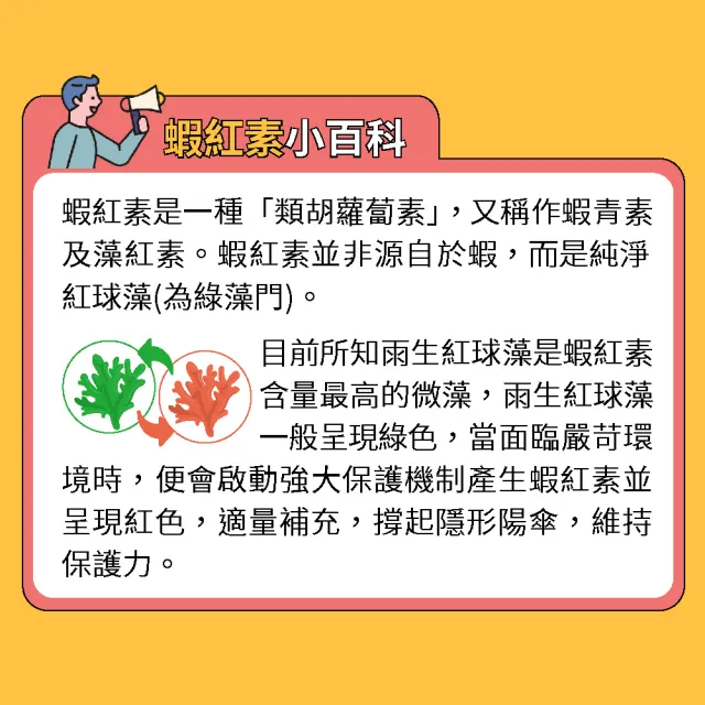 【德國 Natural Fit 活粒適】雨生紅球藻精華含蝦紅素膠囊 60粒(素食 每顆含4mg蝦青素 守護晶亮)