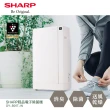 【SHARP 夏普】高科技鞋履賦活器(DY-B01T-W)