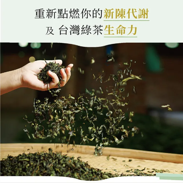 【發現茶】兒茶素綠茶2盒茶包(新陳代謝 窈窕綠茶 6gx30入/盒)