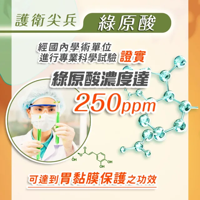 【家後】健康好蒡3入組 共180顆(雙健字號認證護肝及腸胃功能改善/有效降GOT及GPT/日本黑皮牛蒡)