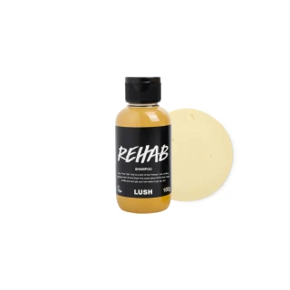 【LUSH 嵐舒】水果特調洗髮露 100g(洗髮精/修護/亮澤/調理頭皮/溫和清潔)