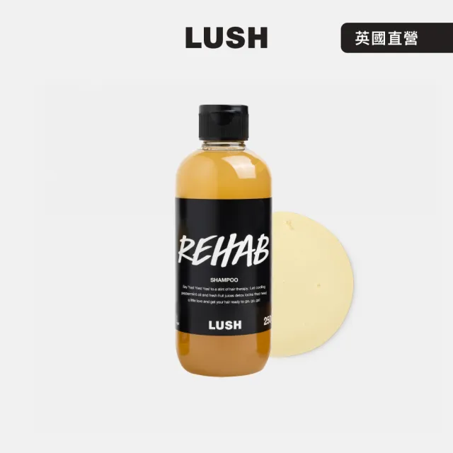 【LUSH 嵐舒】水果特調洗髮露 250g(洗髮精/修護/亮澤/調理頭皮)