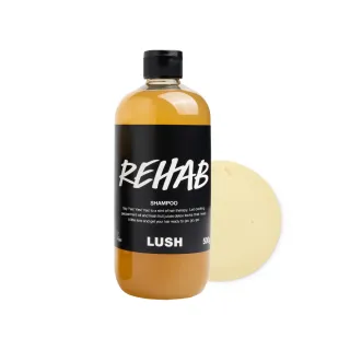 【LUSH 嵐舒】水果特調洗髮露 500g(洗髮精/修護/亮澤/調理頭皮/溫和清潔)