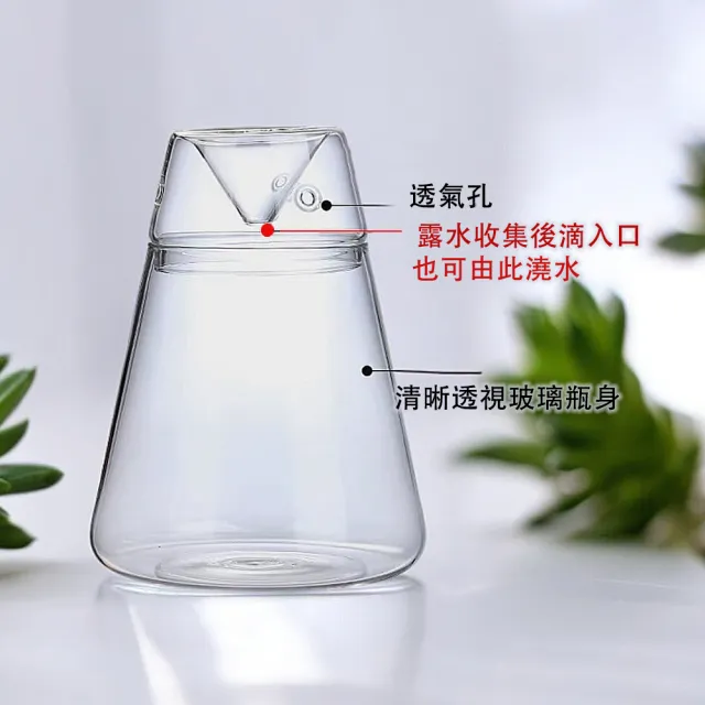 【沐森 Green Life】火山瓶露集杯 苔蘚生態瓶(不含植物)