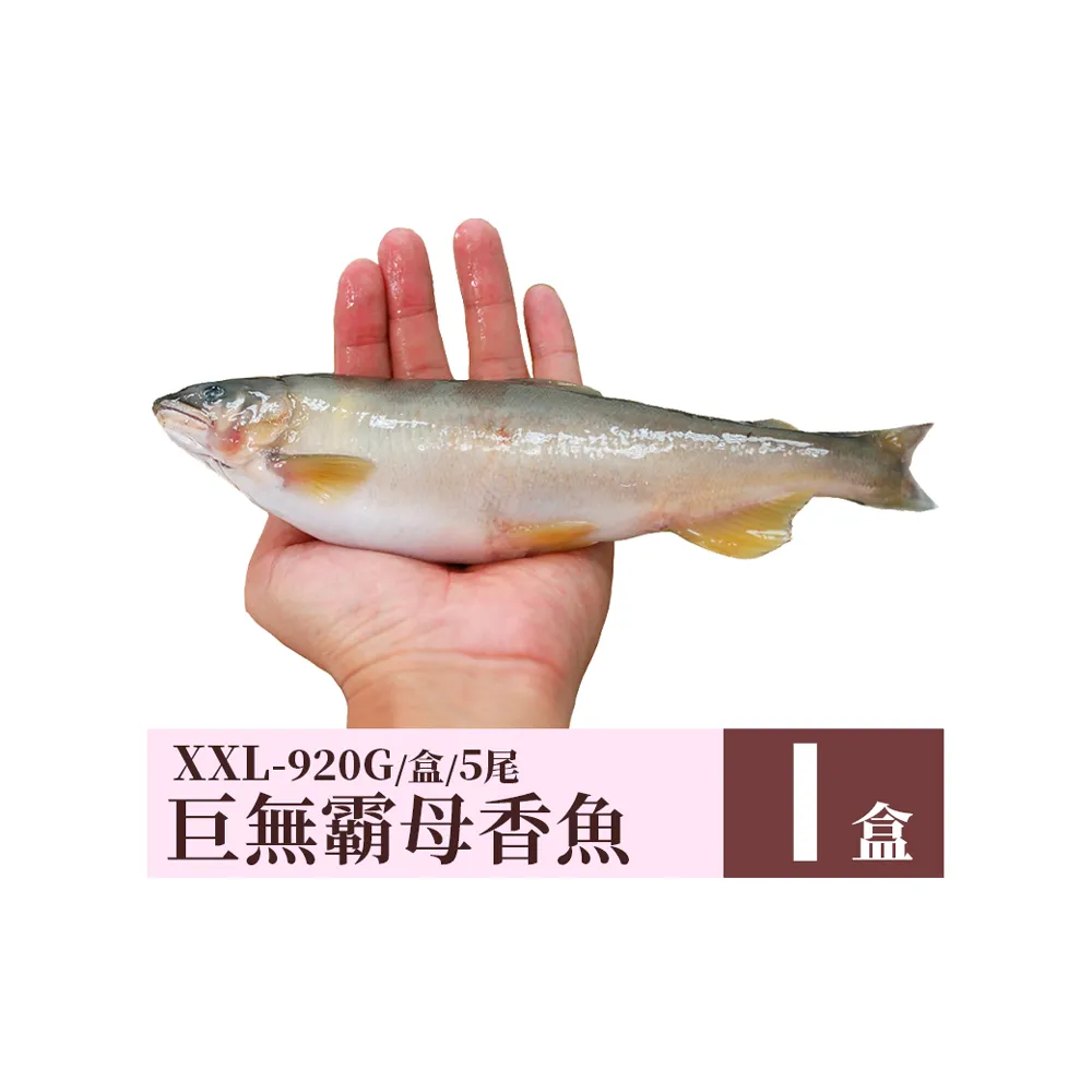 【優鮮配】宜蘭特選巨無霸XXL爆卵母香魚1盒(5尾/920g/盒/中秋烤肉)