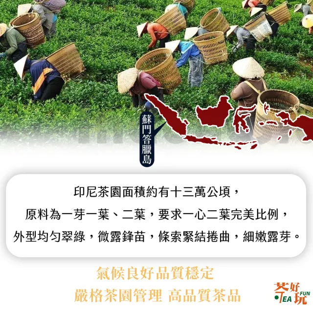 【茶好玩】DIY拚配系列口糧茶組 金佳香+超甘翠75gX8包(1斤;優惠組合;輕發酵;無焙火;全手採)