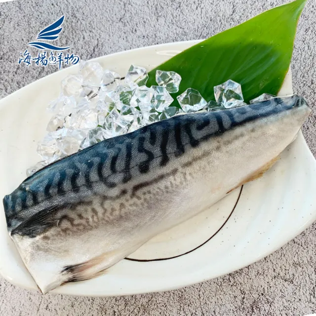 【海揚鮮物】日式鹽漬鯖魚片 170g/片(5入小資組/團購美食)