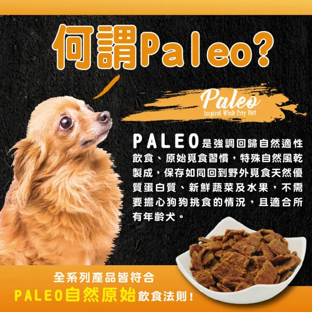 【ABSOLUTE HOLISTIC 超越巔峰】犬用鮮肉主食肉片(100g)