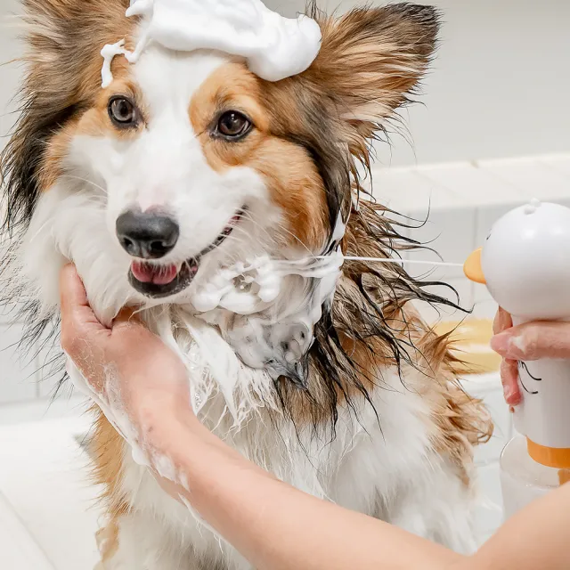【URBANER 奧本】寵物洗澡電動起泡機 CT-11(IPXT7防水/寵物洗澡/寵物洗毛精/寵物洗劑可用/)
