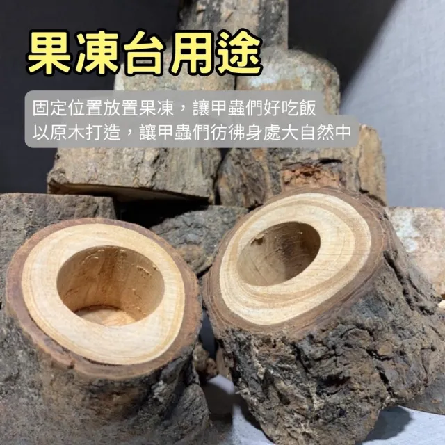 【Petvibe寵趣生活】甲蟲獨角仙果凍台50入果凍套組(甲蟲果凍/昆蟲果凍/寵物果凍/甲蟲/獨角仙)