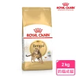 【ROYAL 法國皇家】豹貓成貓專用飼料BG40 2KG(貓乾糧)