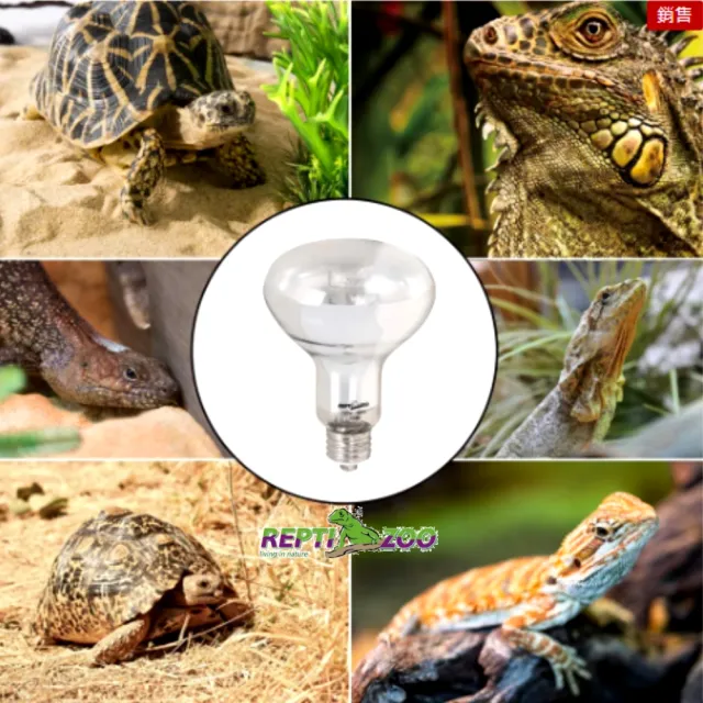 【REPTI ZOO】全光譜太陽燈 爬蟲加熱燈UVA UVB 125W取暖燈POWERSUN燈泡(REPTIZOO/適用陸龜.爬蟲類)