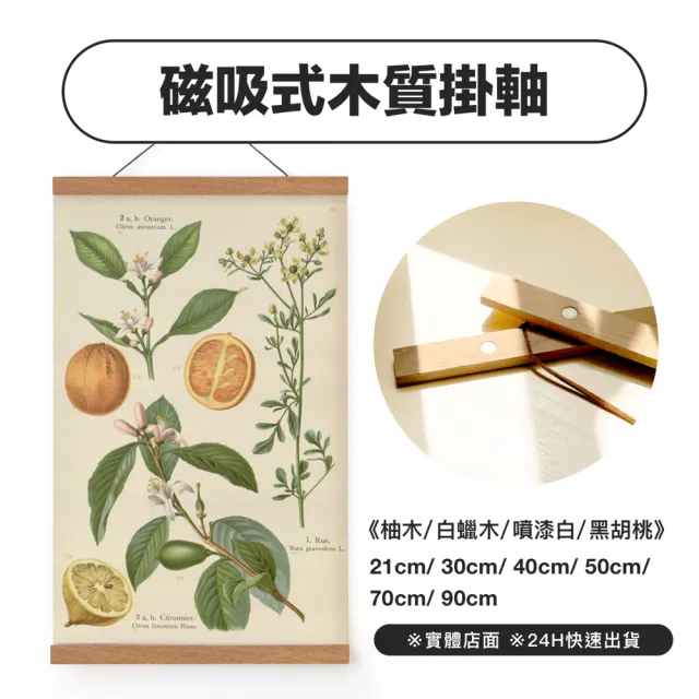 菠蘿選畫所】磁性木質掛軸-90cm(多尺寸/磁鐵掛畫桿/海報夾/壁畫/畫軸