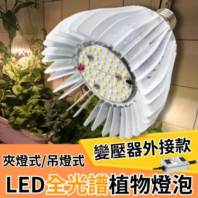 【JIUNPEY 君沛】50W 全光譜E27植物燈泡 變壓器外接款(植物生長燈)