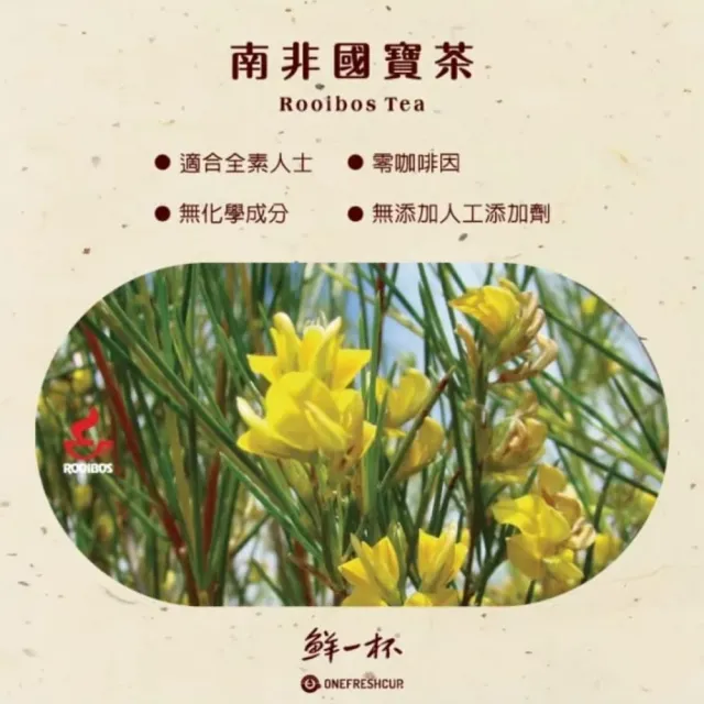 【鮮一杯】買二送二 南非國寶茶茶包5gX12包X4盒(國寶茶/國寶綠茶/蜜樹茶 3種口味任選；共4盒)
