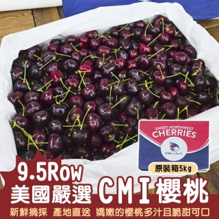 【WANG 蔬果】美國CMI櫻桃9.5R櫻桃5kgx1箱(原裝箱/空運直送)