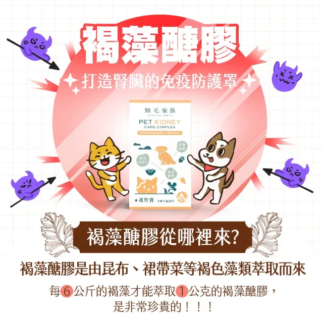 【GOODMO 歸毛家族】Good寶系列-護腎寶30粒*4瓶(寵物 保健品 腎臟保健 貓 狗)