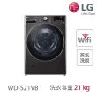 【LG 樂金】16+21公斤◆免曬衣乾衣機+WiFi滾筒洗衣機(蒸洗脫)◆尊爵黑 (WR-16HB+WD-S21VB)