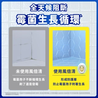 【風倍清】浴廁用防霉防臭劑/芳香劑 4入裝(柔和花香/清新柑橘)