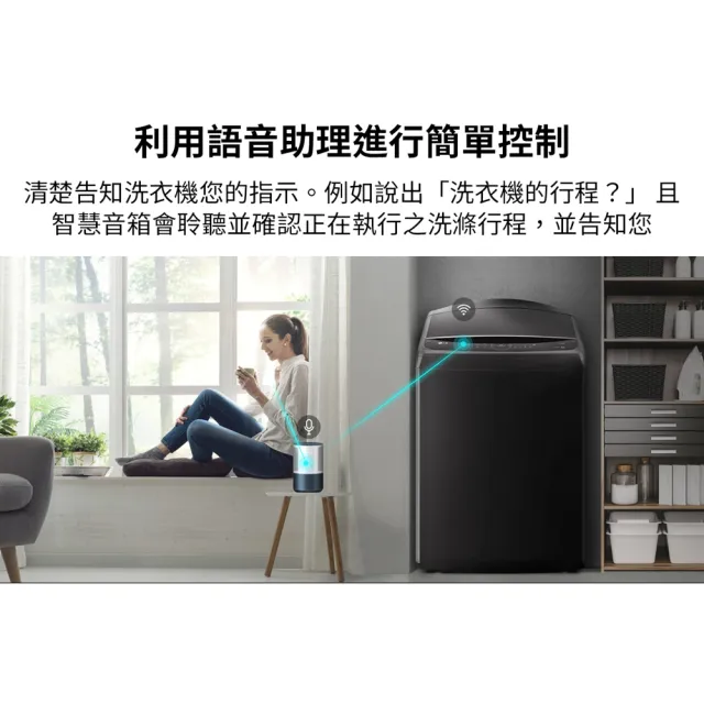 【LG 樂金】19公斤◆AI DD™智慧直驅變頻洗衣機 ◆極光黑(WT-VD19HB)