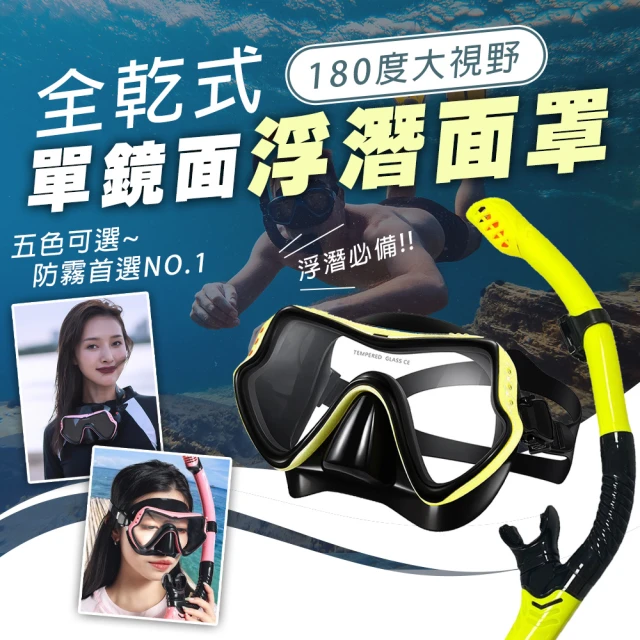 SWIMFLOW 全乾式單鏡面潛水面罩(浮潛面罩 單鏡面罩 潛水面鏡 潛水面罩 潛水鏡 潛水蛙鏡 浮潛 蛙鏡 泳鏡)