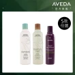 【AVEDA】暢銷洗髮精3入組_任選(蘊活煥欣/蘊活淨瑕/花植結構/蘊活光萃/純香/迷迭薄荷)