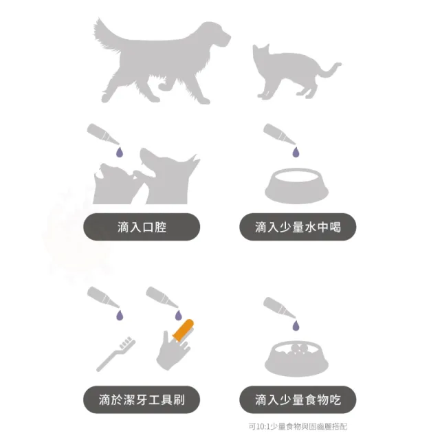 【MORESON 木入森】固齒麗口滴劑30ml*2入(潔牙噴霧 貓牙膏 貓咪潔牙 口腔保健)