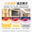 【工具達人】LED燈條接頭 燈條卡扣 軟燈條接頭 燈條連接 LED燈條接頭 軟燈帶免焊卡扣(190-24LEDFC2)