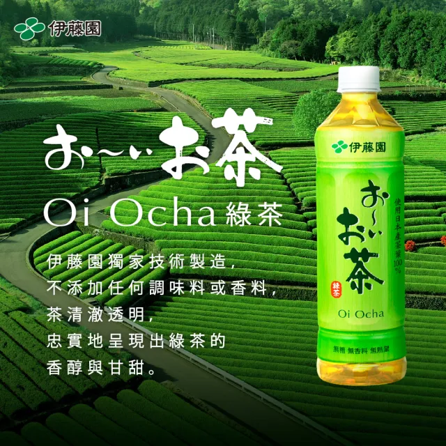 【伊藤園】Oi Ocha 綠茶530mlx2箱(共48入)