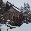 【吉航旅遊】東北藏王樹冰+溫泉美食六日-長榮航空