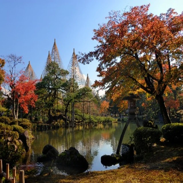 喜鴻假期 【北陸紅葉賞５日】紅葉名所〜鶴仙溪、立山黑部、合掌村、兼六園、牧歌之里遊園小火車