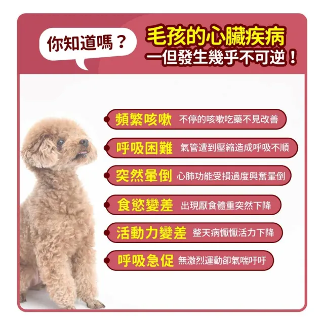 【毛孩時代】心臟專科保健粉x3盒(寵物保健品/貓狗心臟保健品/Q10)