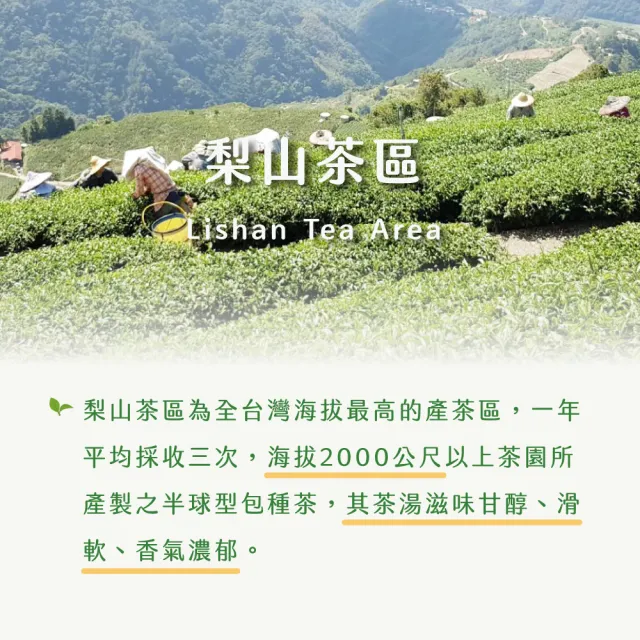 【xiao de tea 茶曉得】梨山馬烈霸冷甜厚實烏龍茶75gx12包(1.5斤)