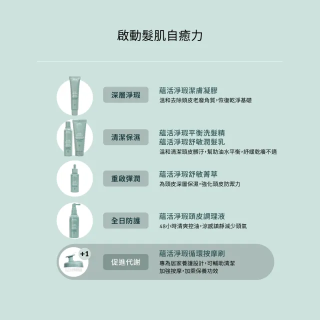 【AVEDA】蘊活淨瑕循環按摩刷(全新頭皮保養 呵護髮肌齡)