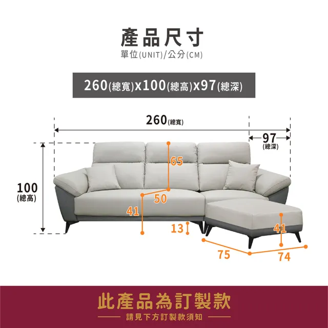 【ASSARI】艾利比機能L型沙發(附抱枕)