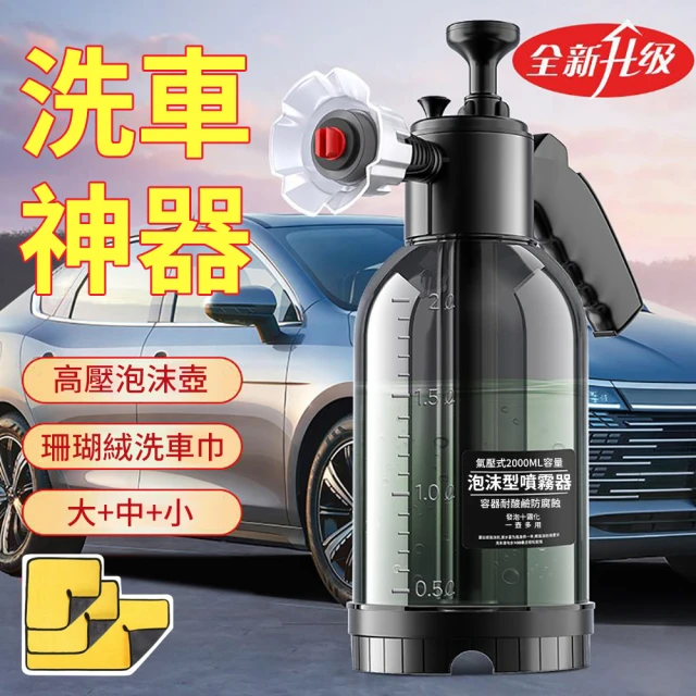 CHYUNYAO 6代 巴西金棕蠟洗車蠟1000ml 2入組