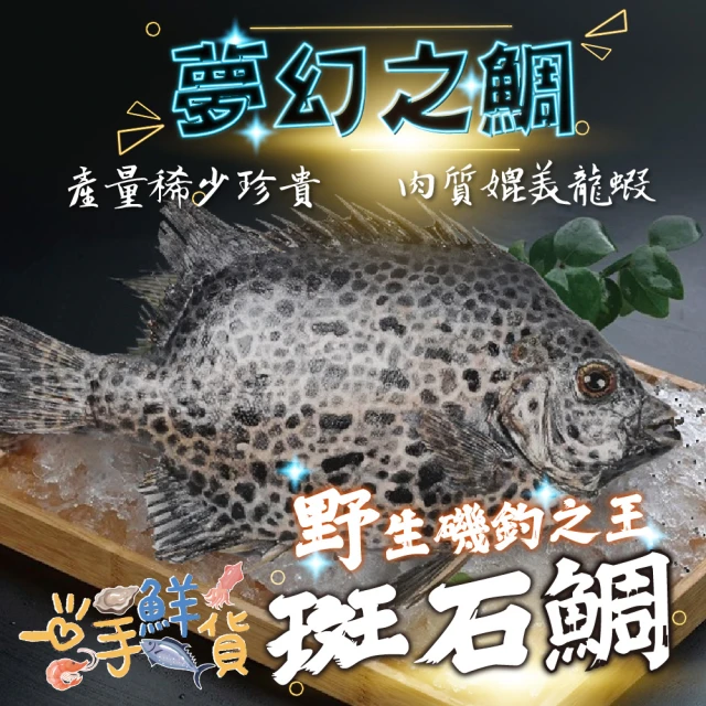 優鮮配 團購組-特大活凍新鮮整尾石斑魚8尾(530g/尾)好