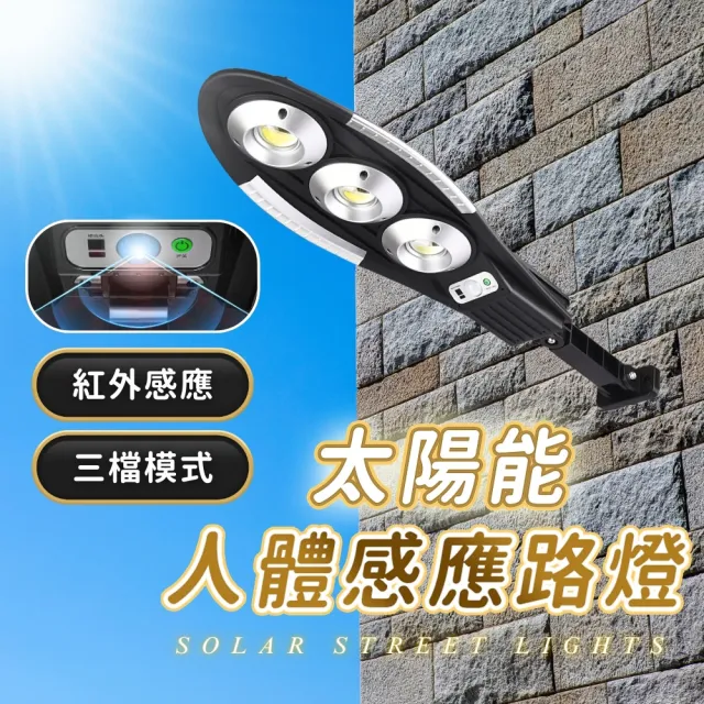 【Innatures】2入 太陽能人體感應路燈 圓頭2燈(太陽能路燈  太陽能燈 探照燈 花園庭院燈 戶外燈)