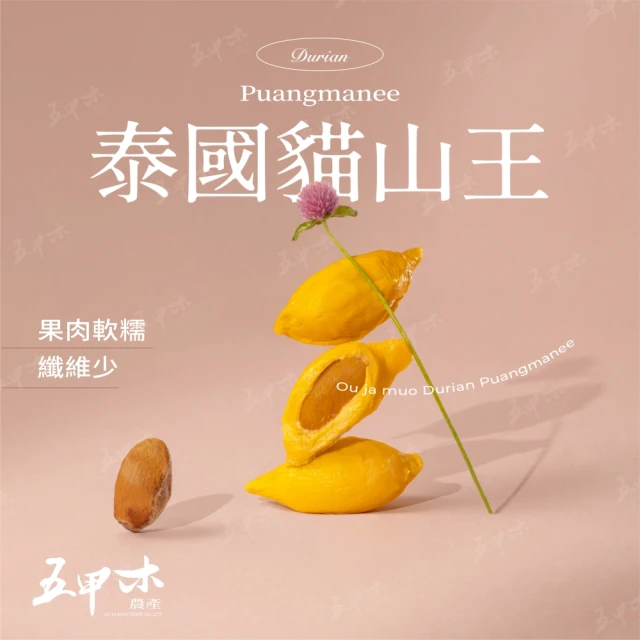 黑貓嚴選 金蜜芒果(5-8顆/2kg±5%/箱)好評推薦