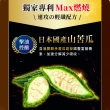 【Dr. Calorie 美体專科】打卡錠Max 5盒共150顆；油醣強效阻控(ㄚ頭愛用推薦)